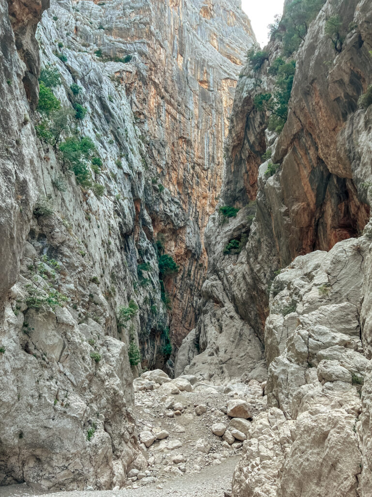 Inside the canyon gola gorropu, italy